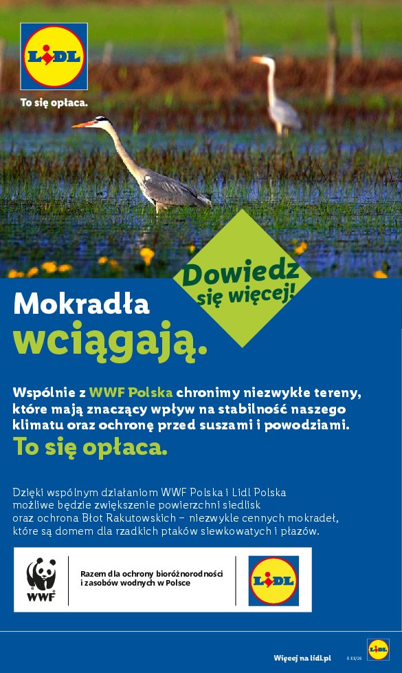 Gazetka Lidl 27/07/2026 – 01/08/2026 - strona 56