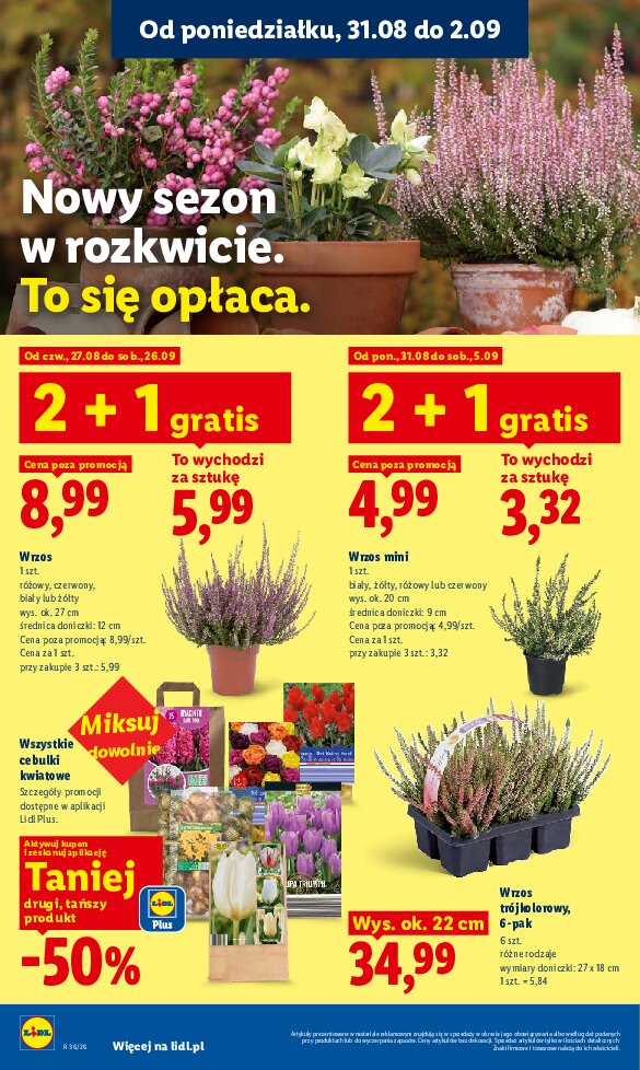Gazetka Lidl 31/08/2026 – 02/09/2026 - gazetki promocyjne str. 86