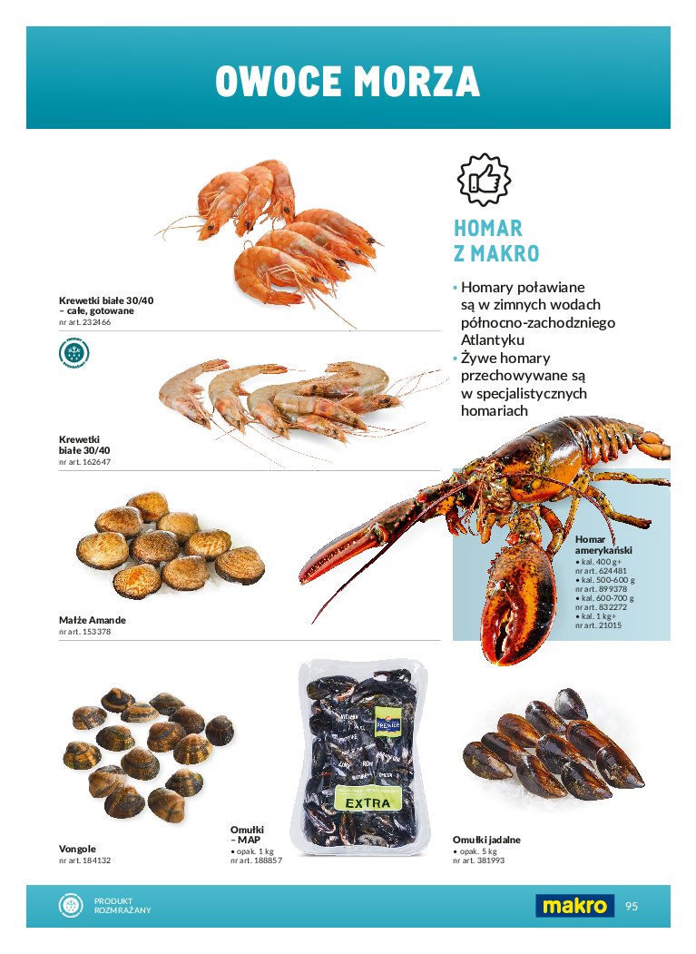 Gazetka Makro 01/03/2026 – 31/12/2026 - strona 95