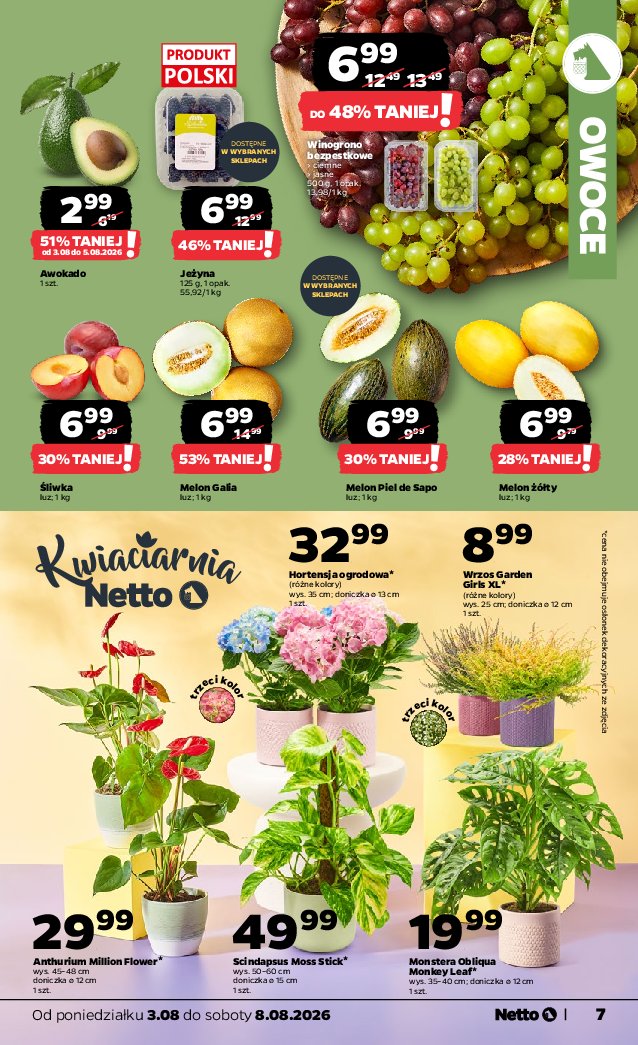 Gazetka Netto 03/07/2026 – 08/08/2026 - strona 7