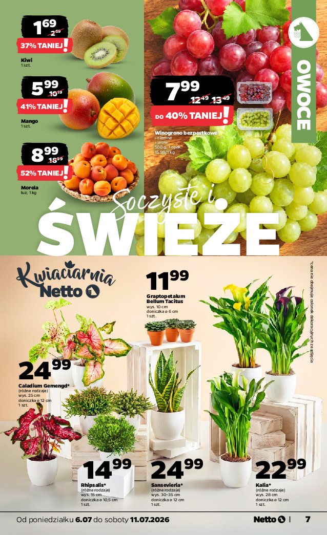 Gazetka Netto 06/07/2026 – 11/07/2026 - strona 7