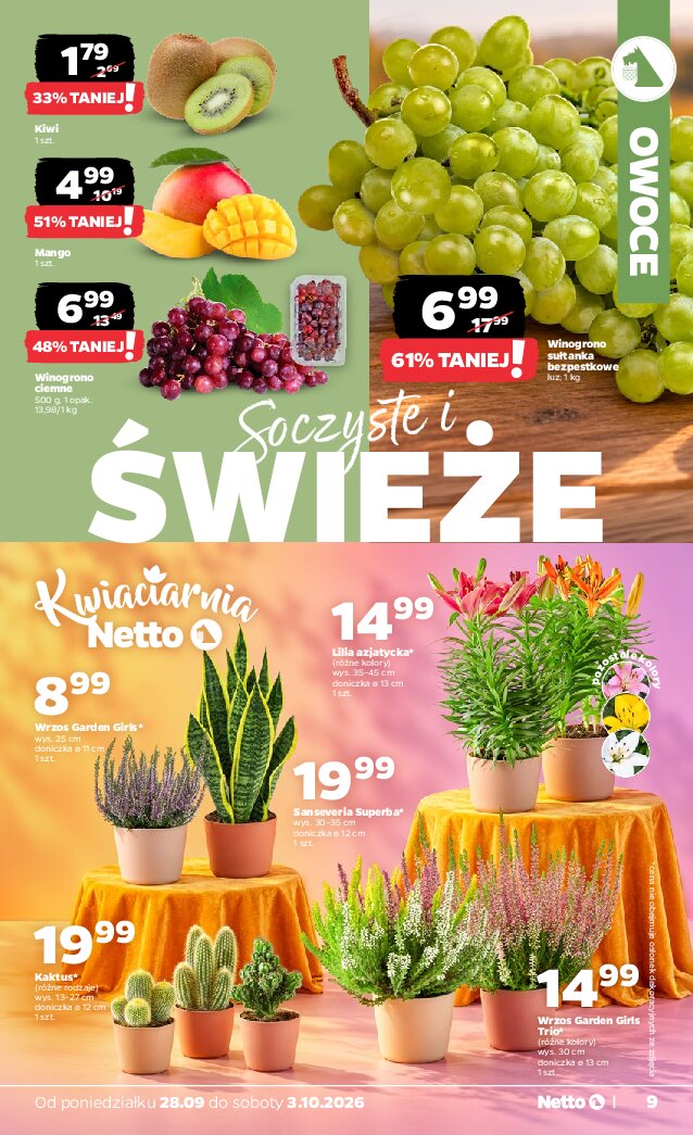 Gazetka Netto 28/09/2026 – 03/10/2026 - gazetki promocyjne str. 9