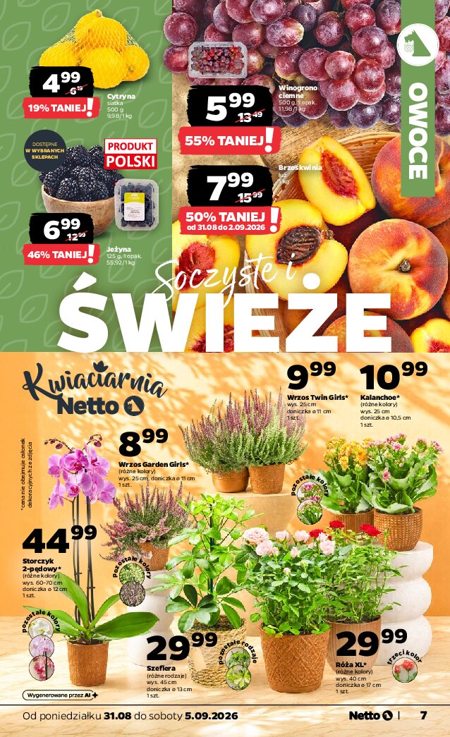 Gazetka Netto 31/08/2026 – 05/09/2026 - strona 7