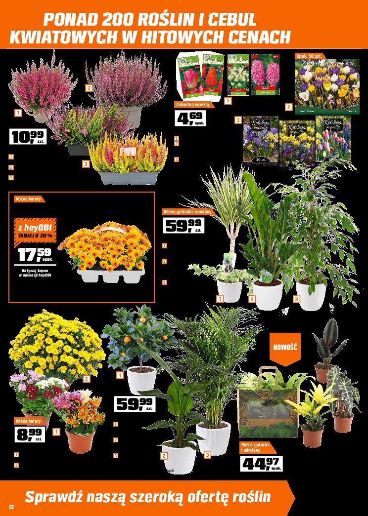 Gazetka Obi 09/09/2026 – 29/09/2026 - gazetki promocyjne str. 12