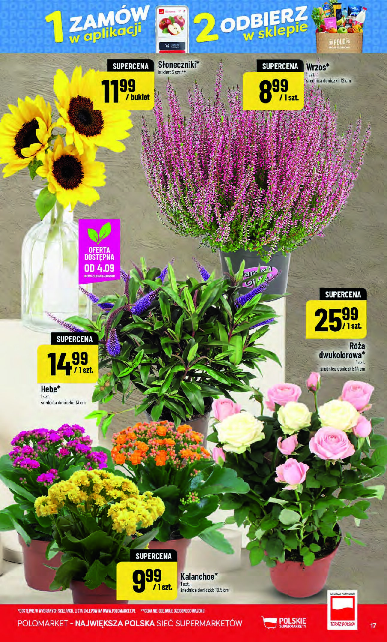 Gazetka Polomarket 02/09/2026 – 08/09/2026 - gazetki promocyjne str. 17
