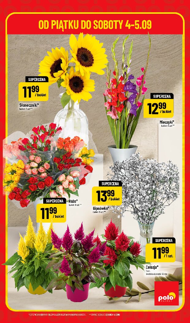 Gazetka Polomarket 04/09/2026 – 05/09/2026 - gazetki promocyjne str. 5