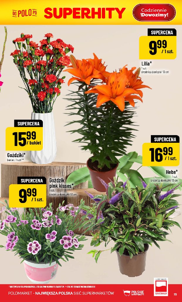 Gazetka Polomarket 05/08/2026 – 11/08/2026 - strona 19