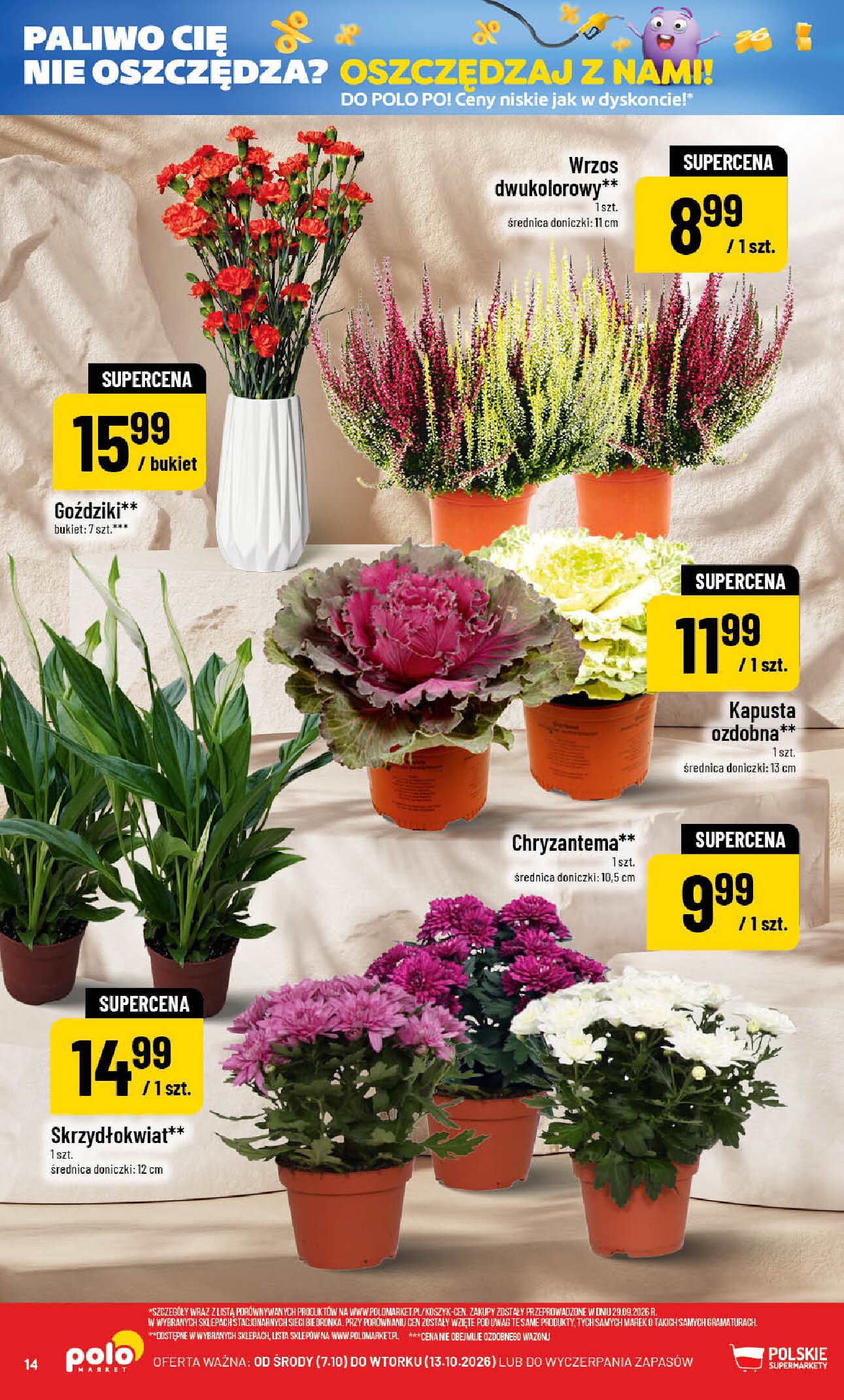 Gazetka Polomarket 07/10/2026 – 13/10/2026 - gazetki promocyjne str. 14