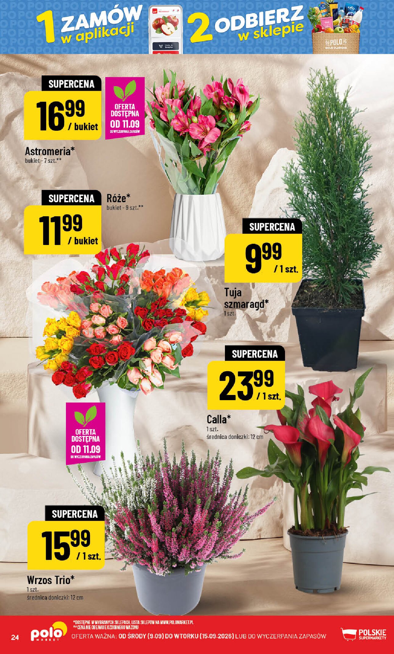 Gazetka Polomarket 09/09/2026 – 15/09/2026 - gazetki promocyjne str. 24
