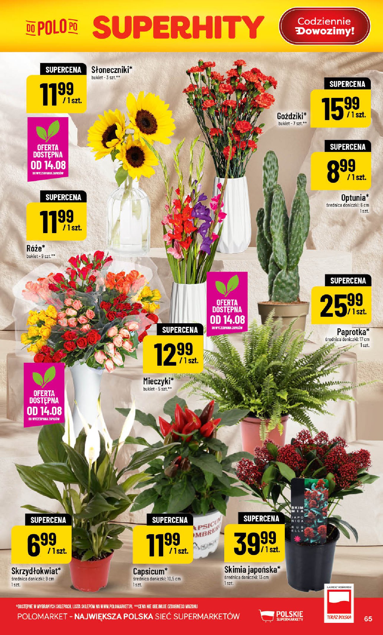 Gazetka Polomarket 12/08/2026 – 18/08/2026 - gazetki promocyjne str. 65