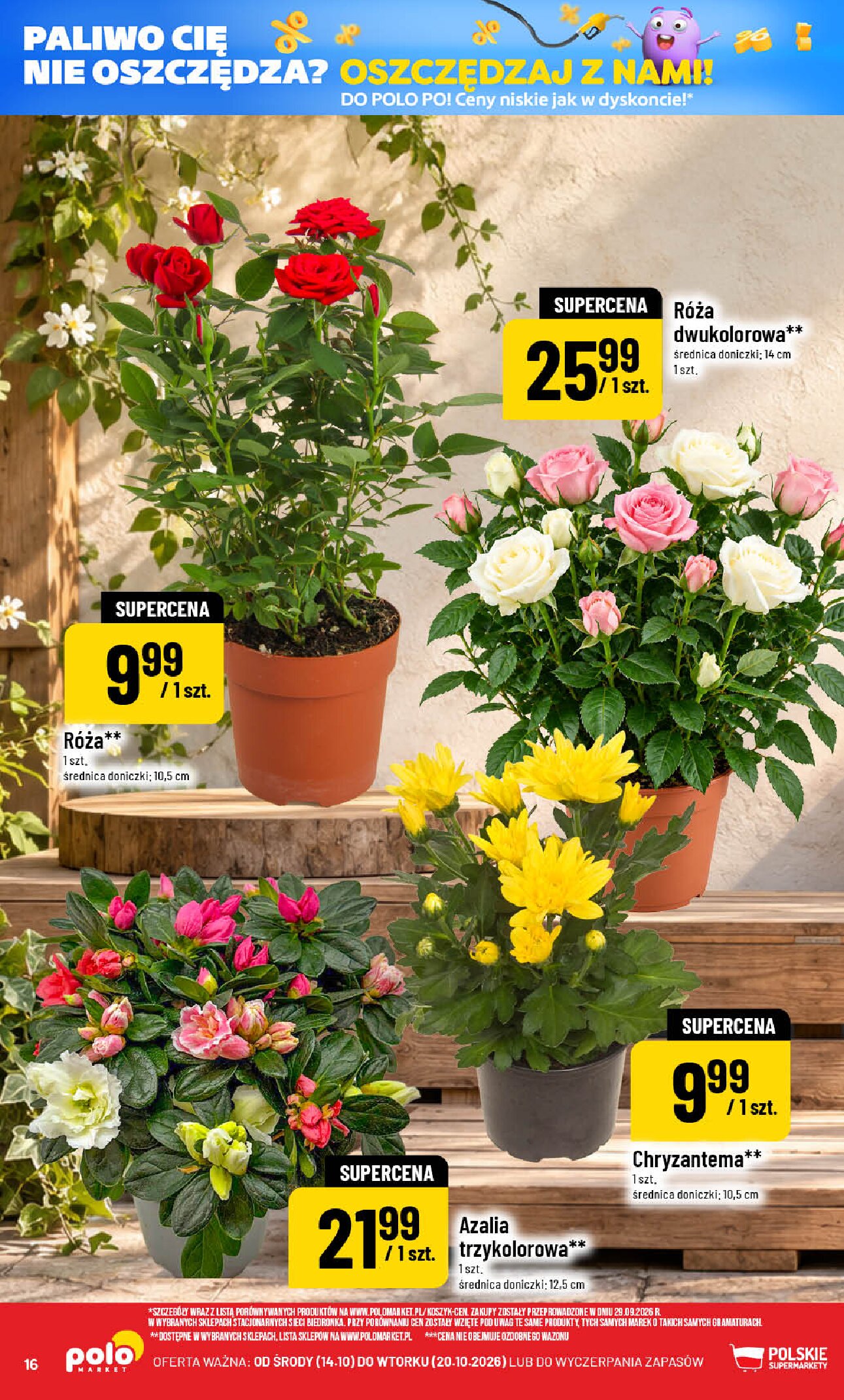 Gazetka Polomarket 14/10/2026 – 20/10/2026 - gazetki promocyjne str. 16