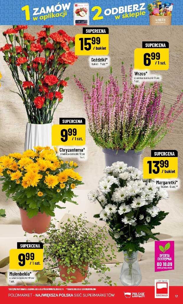 Gazetka Polomarket 16/09/2026 – 22/09/2026 - gazetki promocyjne str. 17