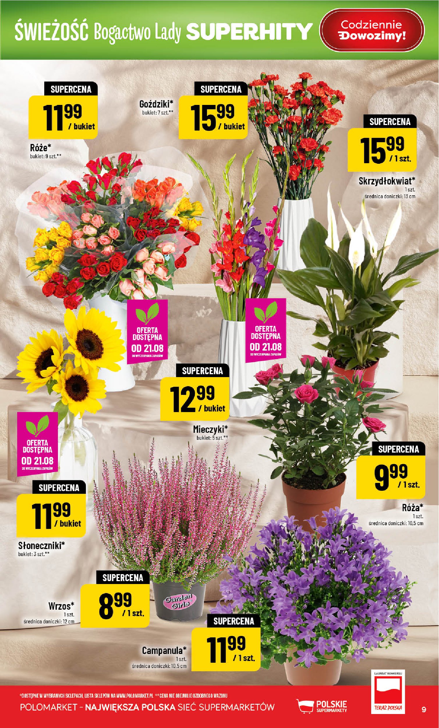 Gazetka Polomarket 19/08/2026 – 25/08/2026 - gazetki promocyjne str. 9