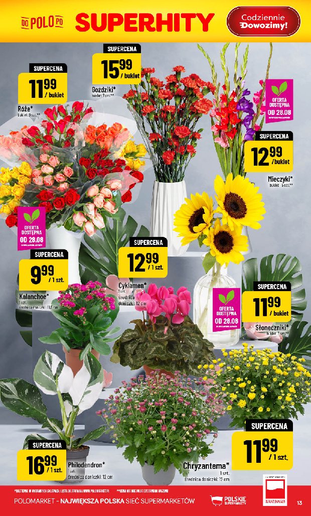 Gazetka Polomarket 26/08/2026 – 01/09/2026 - gazetki promocyjne str. 13