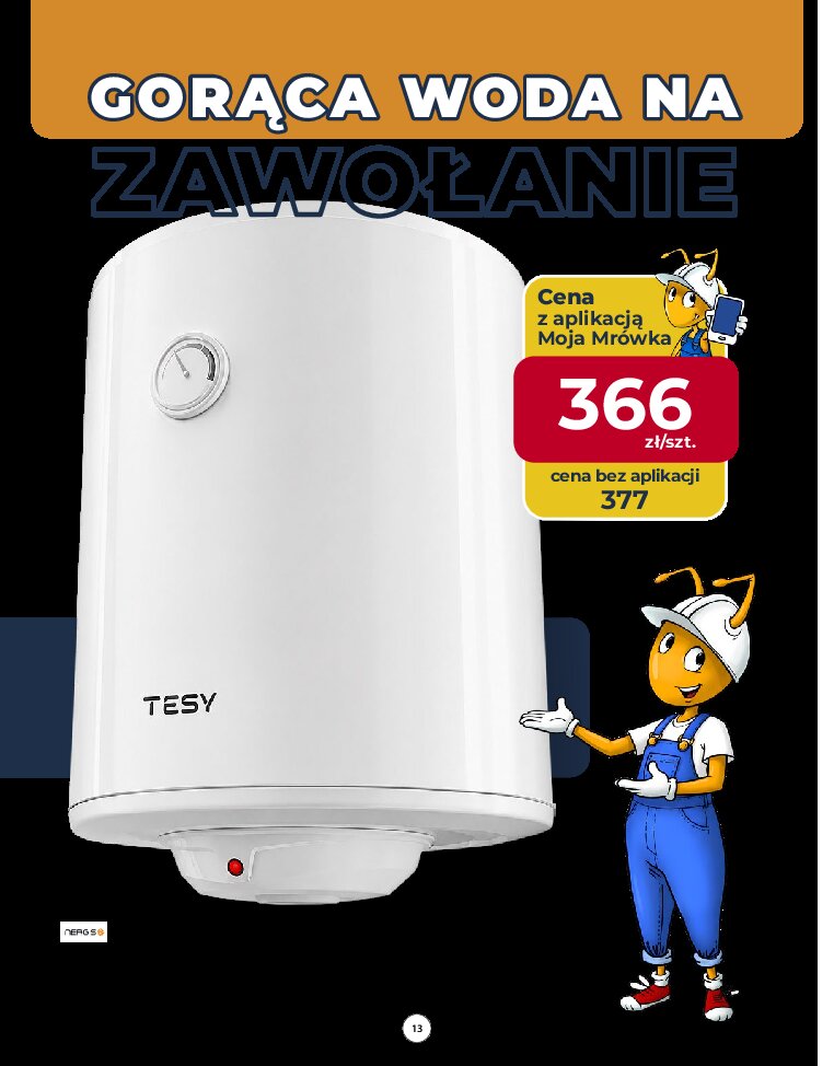 Gazetka Psb-mrowka 08/10/2026 – 17/10/2026 - gazetki promocyjne str. 13