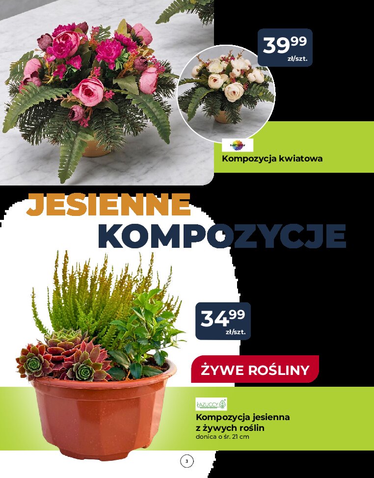 Gazetka Psb-mrowka 08/10/2026 – 17/10/2026 - gazetki promocyjne str. 3