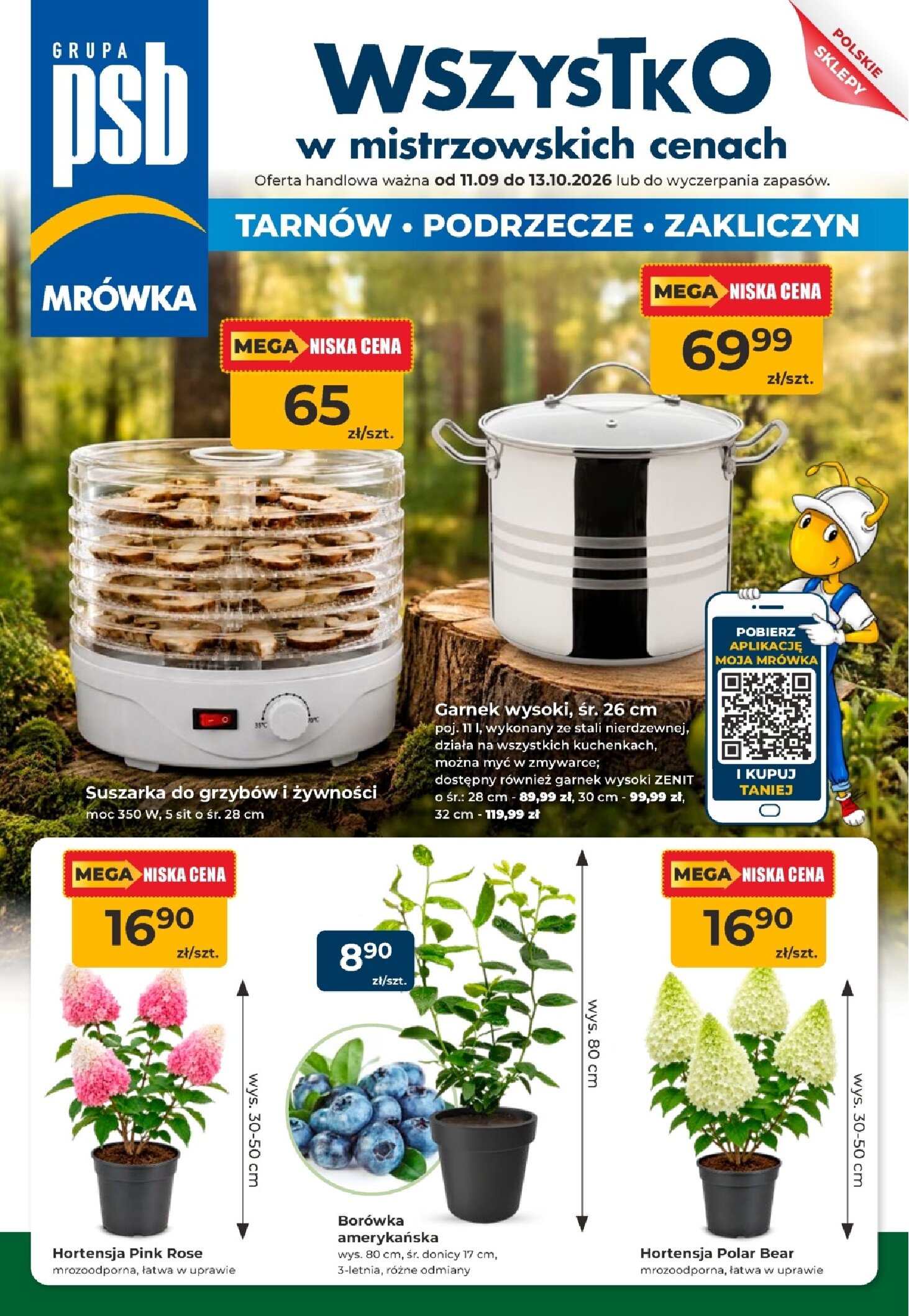 Gazetka Psb-mrowka 11/09/2026 – 13/10/2026 - gazetki promocyjne str. 1