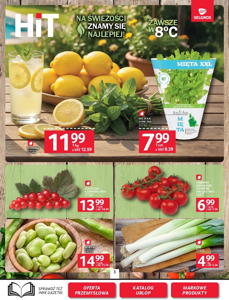 Gazetka Selgros 02/07/2026 – 15/07/2026 - strona 3