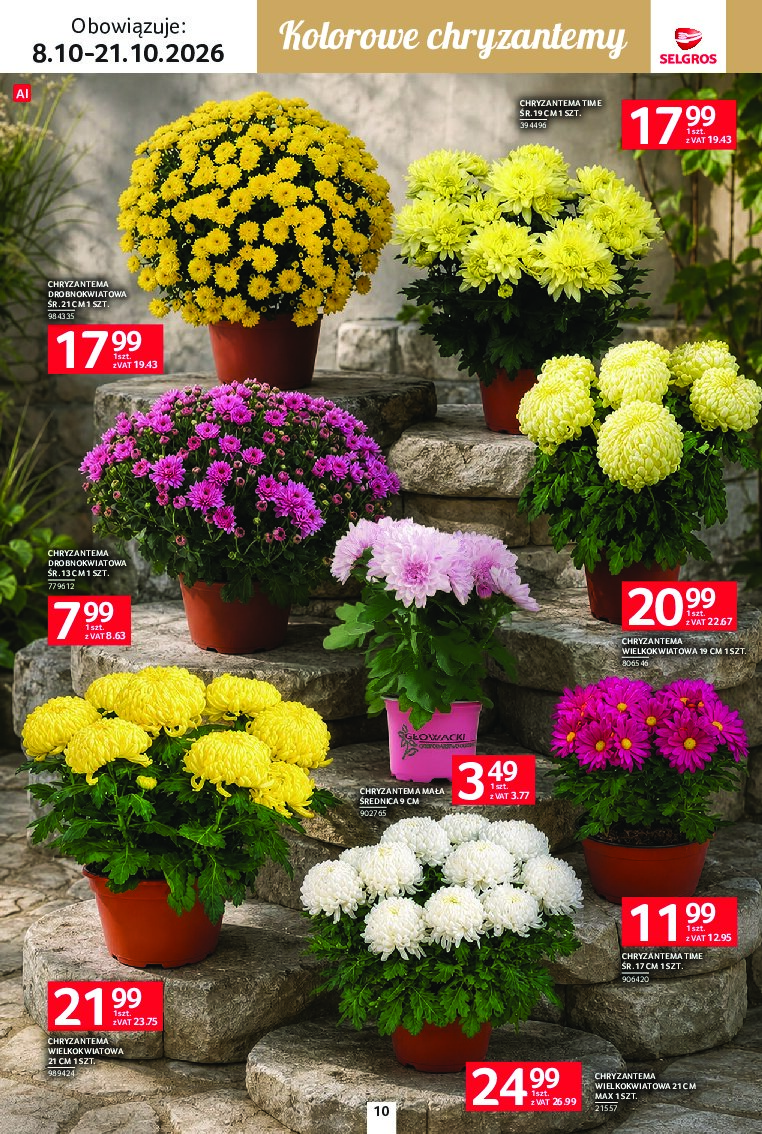 Gazetka Selgros 08/10/2026 – 21/10/2026 - gazetki promocyjne str. 10