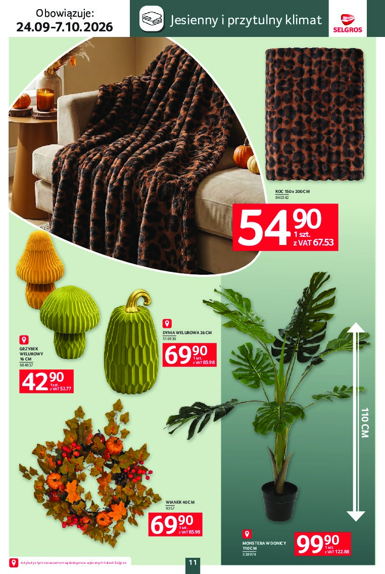 Gazetka Selgros 24/09/2026 – 07/10/2026 - gazetki promocyjne str. 11