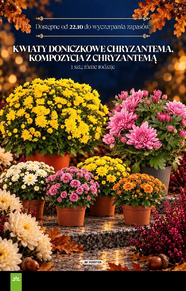Gazetka Stokrotka 01/10/2026 – 04/11/2026 - gazetki promocyjne str. 16