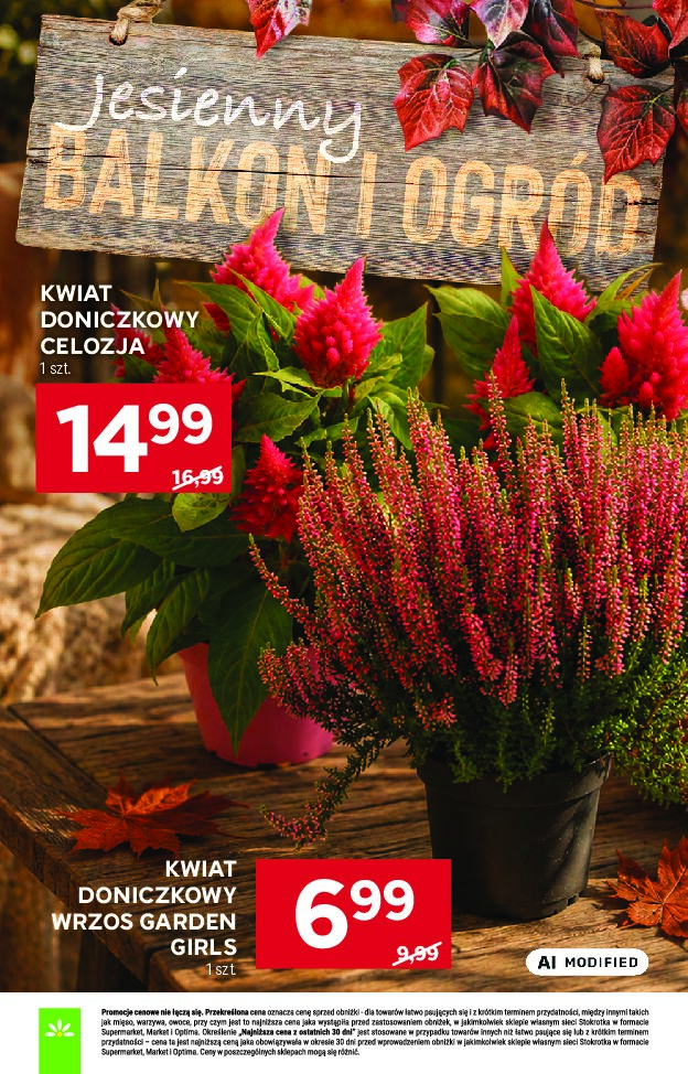 Gazetka Stokrotka 03/09/2026 – 09/09/2026 - gazetki promocyjne str. 56
