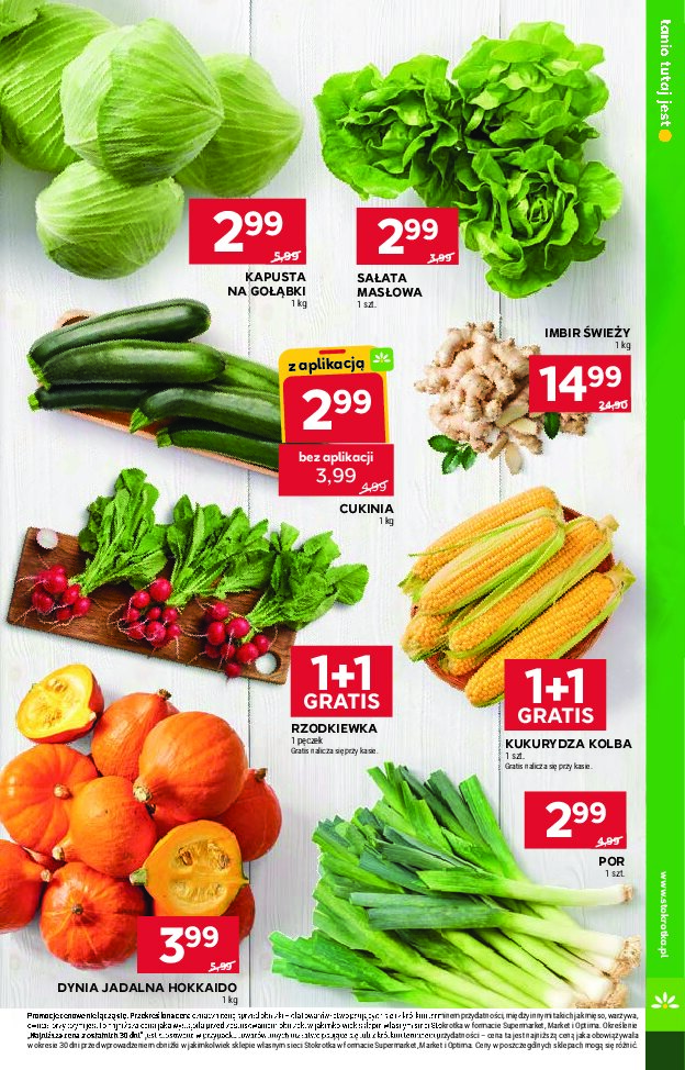 Gazetka Stokrotka 03/09/2026 – 09/09/2026 - gazetki promocyjne str. 13