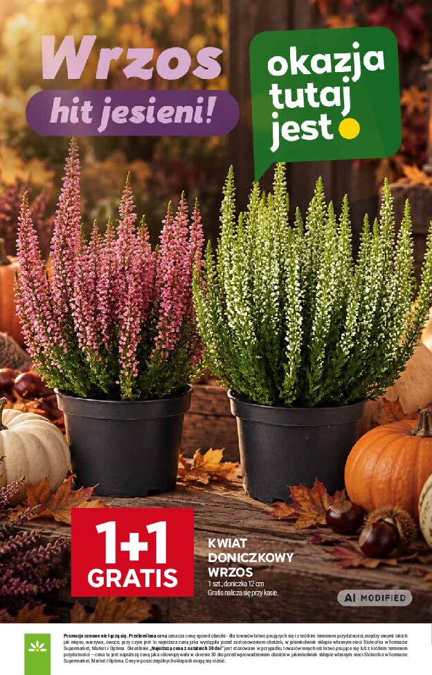 Gazetka Stokrotka 17/09/2026 – 23/09/2026 - gazetki promocyjne str. 13