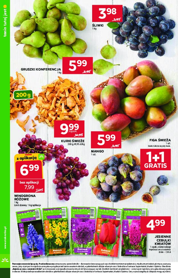 Gazetka Stokrotka 24/09/2026 – 30/09/2026 - gazetki promocyjne str. 14