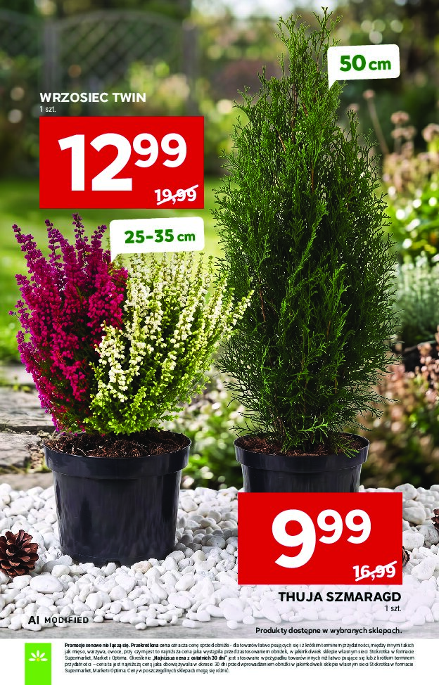 Gazetka Stokrotka 24/09/2026 – 30/09/2026 - gazetki promocyjne str. 41