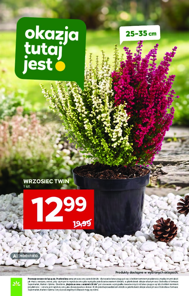 Gazetka Stokrotka 24/09/2026 – 30/09/2026 - gazetki promocyjne str. 29